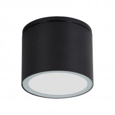 ARTE Lamp A1913PF-1BK