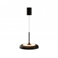   Maytoni MOD189PL-L39B3K