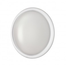 7776/DLN PALE SN 110  / LED 48 3000/4000/6000 D400 IP43 CCT JOLLY