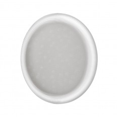 7775/DLN PALE SN 110  / &quot;. &quot; LED 48 3000/4000/6000 D400 IP43 CCT JOLL