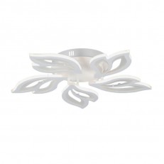   Vitaluce V3893-0/5PL