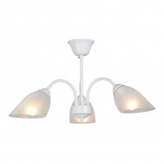    Vitaluce V3336-0/3PL