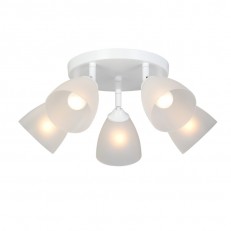   Vitaluce V4355-0/5PL