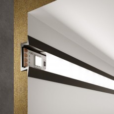  Elektrostandard LL-2-ALP007   /