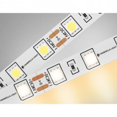  Ambrella Light GS4001