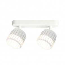 ARTE Lamp A8031PL-2WH