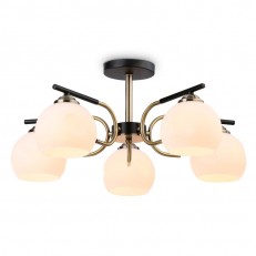    Ambrella Light TR303312