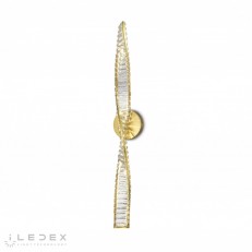  iLedex W2119-1000 BR