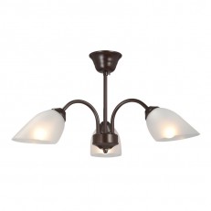    Vitaluce V3335-7/3PL