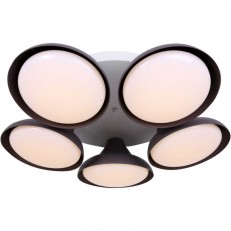   Stilfort 2081/08/05C