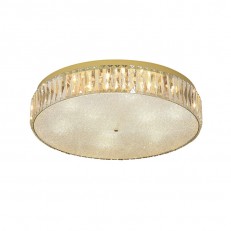   Newport 8249/PL gold NEW