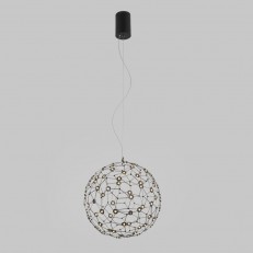 ��������� ���������� Bogate's 451/1