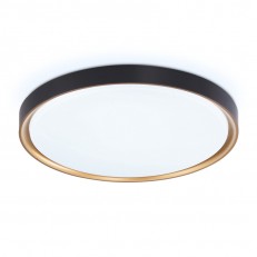 ��������� ���������� Ambrella Light FZ1249