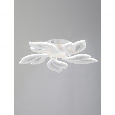 ��������� ���������� Vitaluce V2520-0/5PL