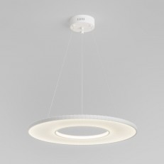 ��������� ���������� Eurosvet 101001 LED �����