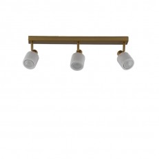 ���� Moderli V11828-3C