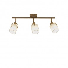 ���� Moderli V11855-3C