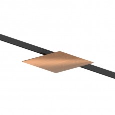 ���������� �� ���� Lightstar 236131Q