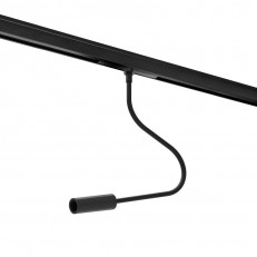 ���������� �� ���� Lightstar 236037