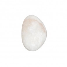 ��� Odeon Light 6684/10WL