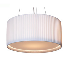    Crocus Strip S3 01 01