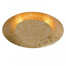    Lucide Foskal 79177/06/01