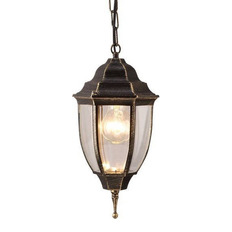    Arte Lamp Pegasus A3151SO-1BN