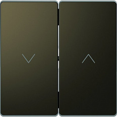 Merten D-Life   2-    / .3855-6052