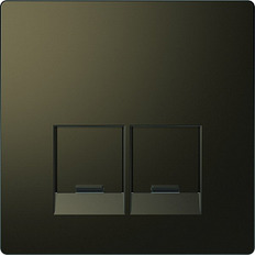 Merten D-Life     SE 2RJ c  .4572-6052