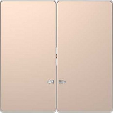 Merten D-Life   2-   .3420-6051