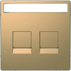 Merten D-Life     2RJ c  c    .4564-6051