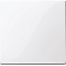 Merten System M    1- .432125