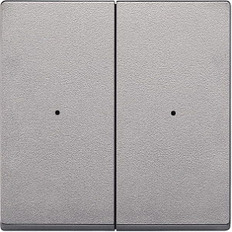 Merten System M   / 2-   .625260