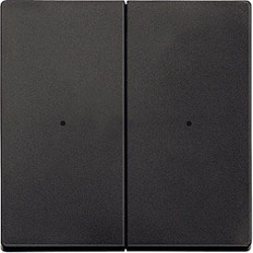 Merten System M   / 2-   .625214