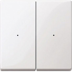 Merten System M    / 2-   .619219