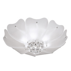   Lightstar Lobo 804020