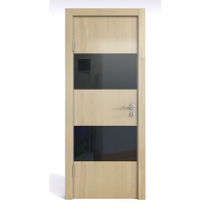      -508 Line DOORS