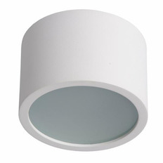    Lucide Lily 17995/01/31