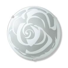 -   Vitaluce V6294/1A