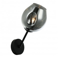  Favourite TRAUBE 2359-1W