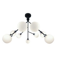   Zumaline CARACAS P17200