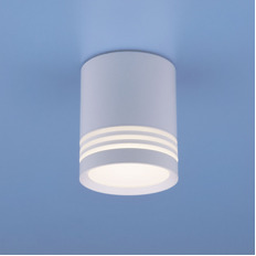   Elektrostandard DLR032 6W 4200K 3200 