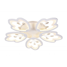   Ambrella Light FA510