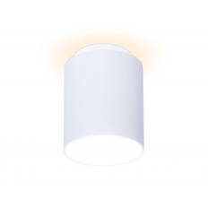   Ambrella Light TN260